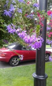 Toyota Celica