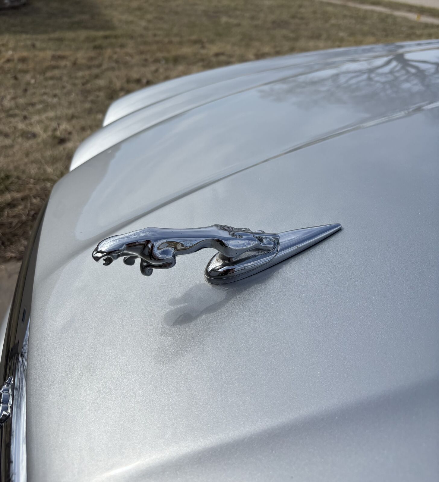 Jaguar X-Type