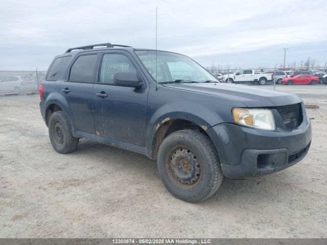 Mazda Tribute
