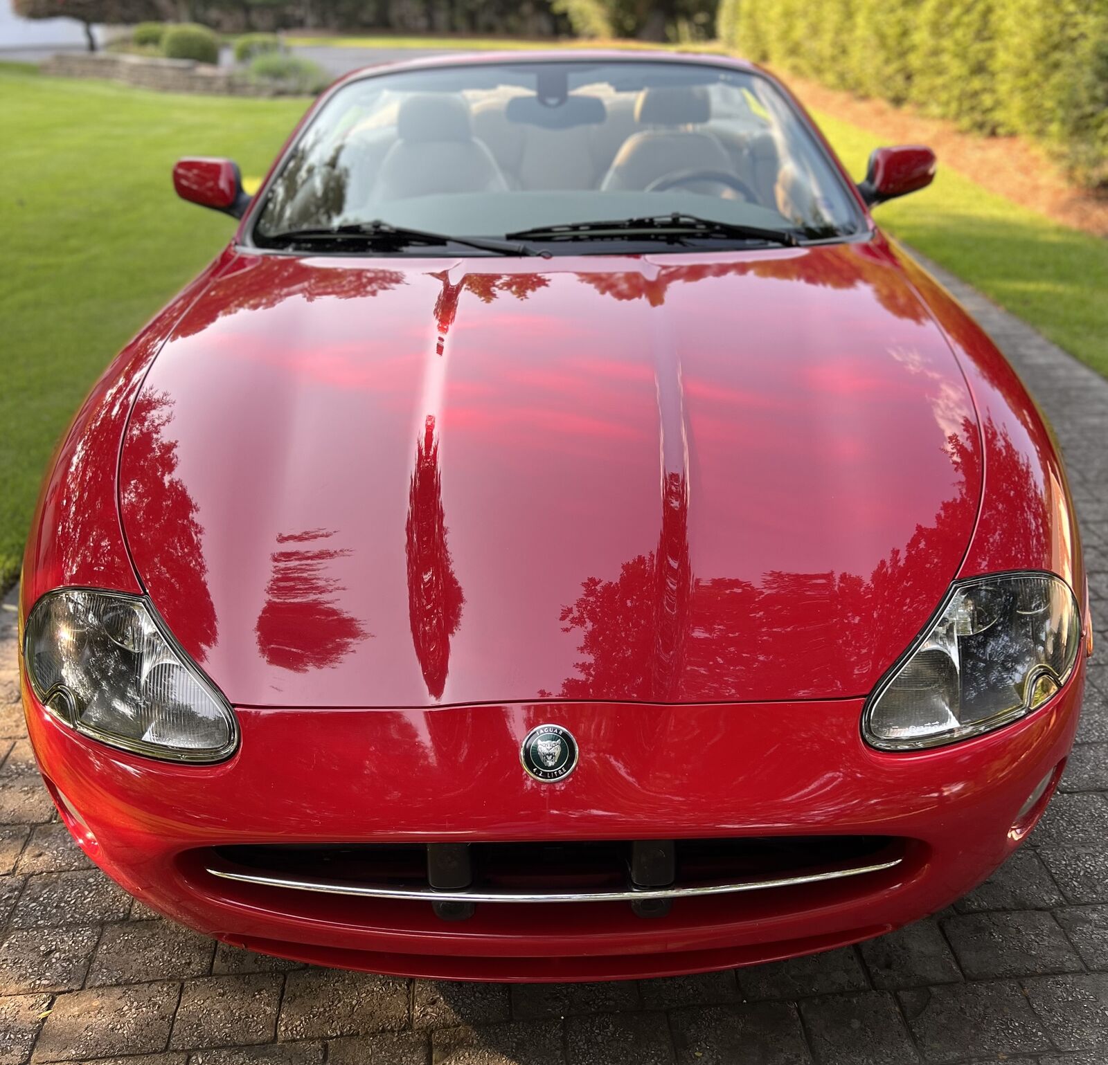 Jaguar XK