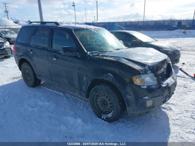 Mazda Tribute