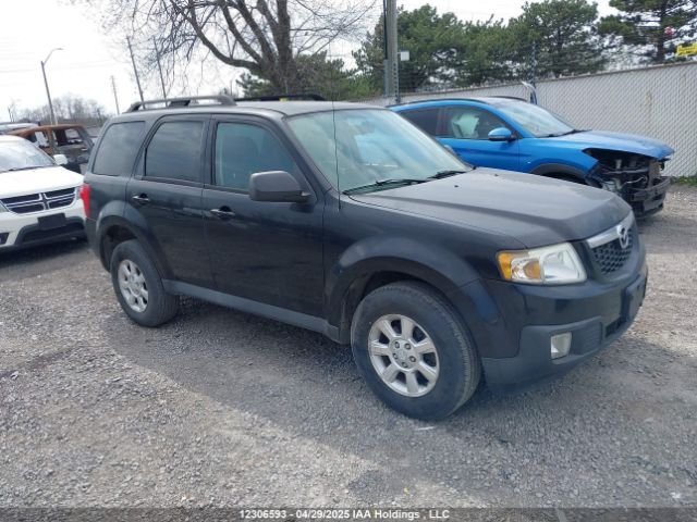 Mazda Tribute