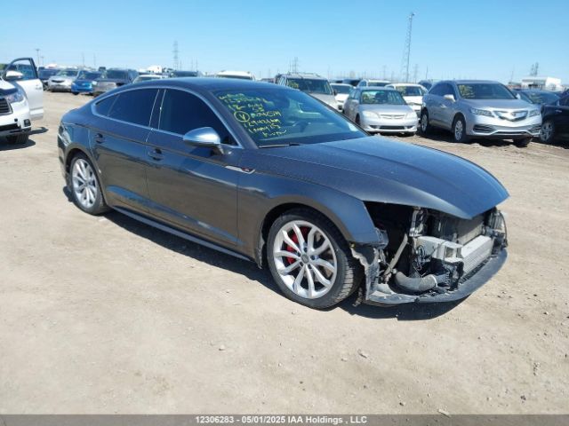 AUDI