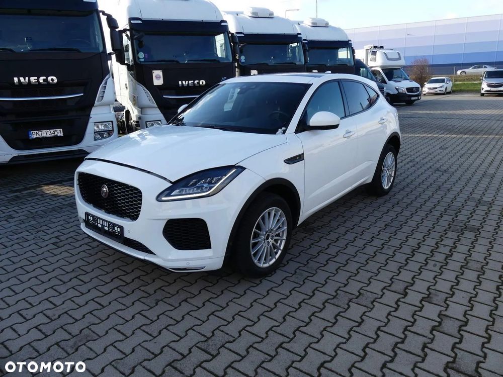 JAGUAR