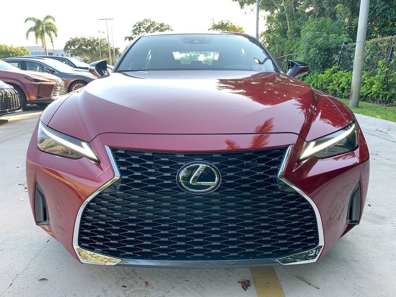 2025 Lexus IS