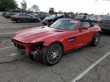 2020 MERCEDES-BENZ AMG GT - License Plate