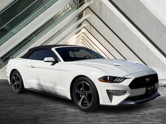 2019 FORD Mustang