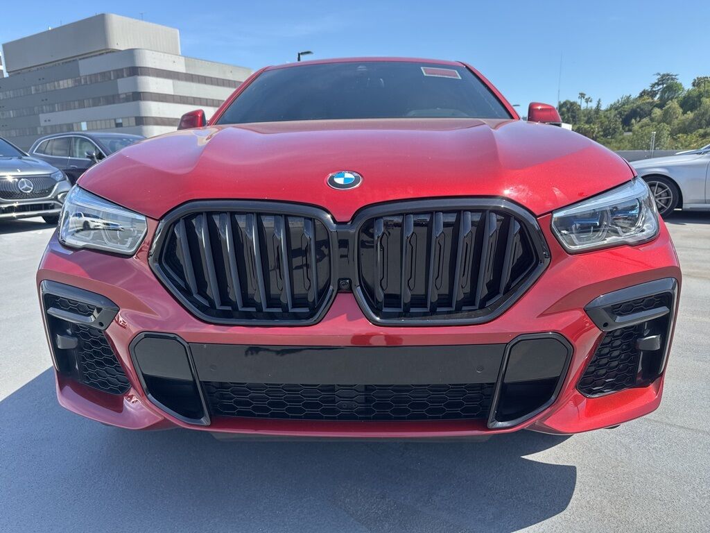 2023 BMW X6