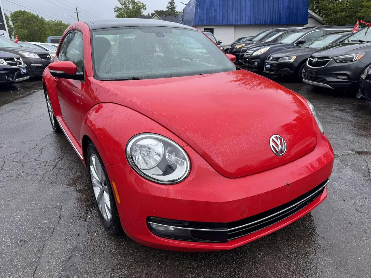 Volkswagen Beetle