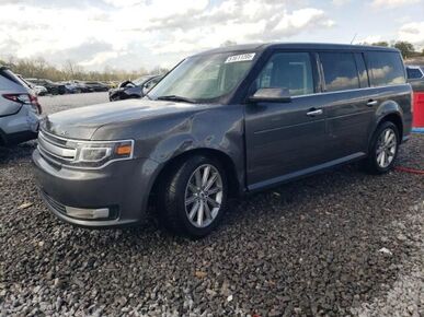 2019 FORD Flex - License Plate