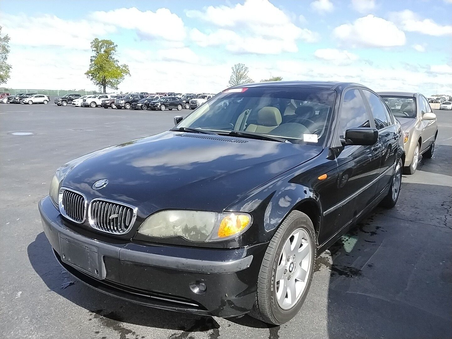 BMW 325xi