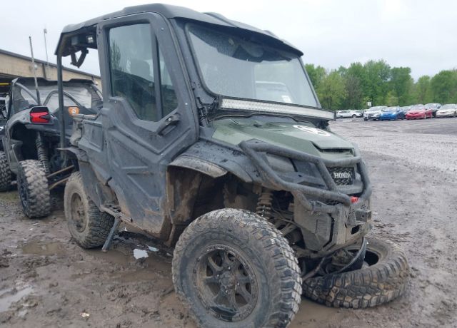 Honda Pioneer