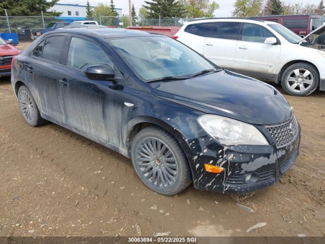 Suzuki Kizashi