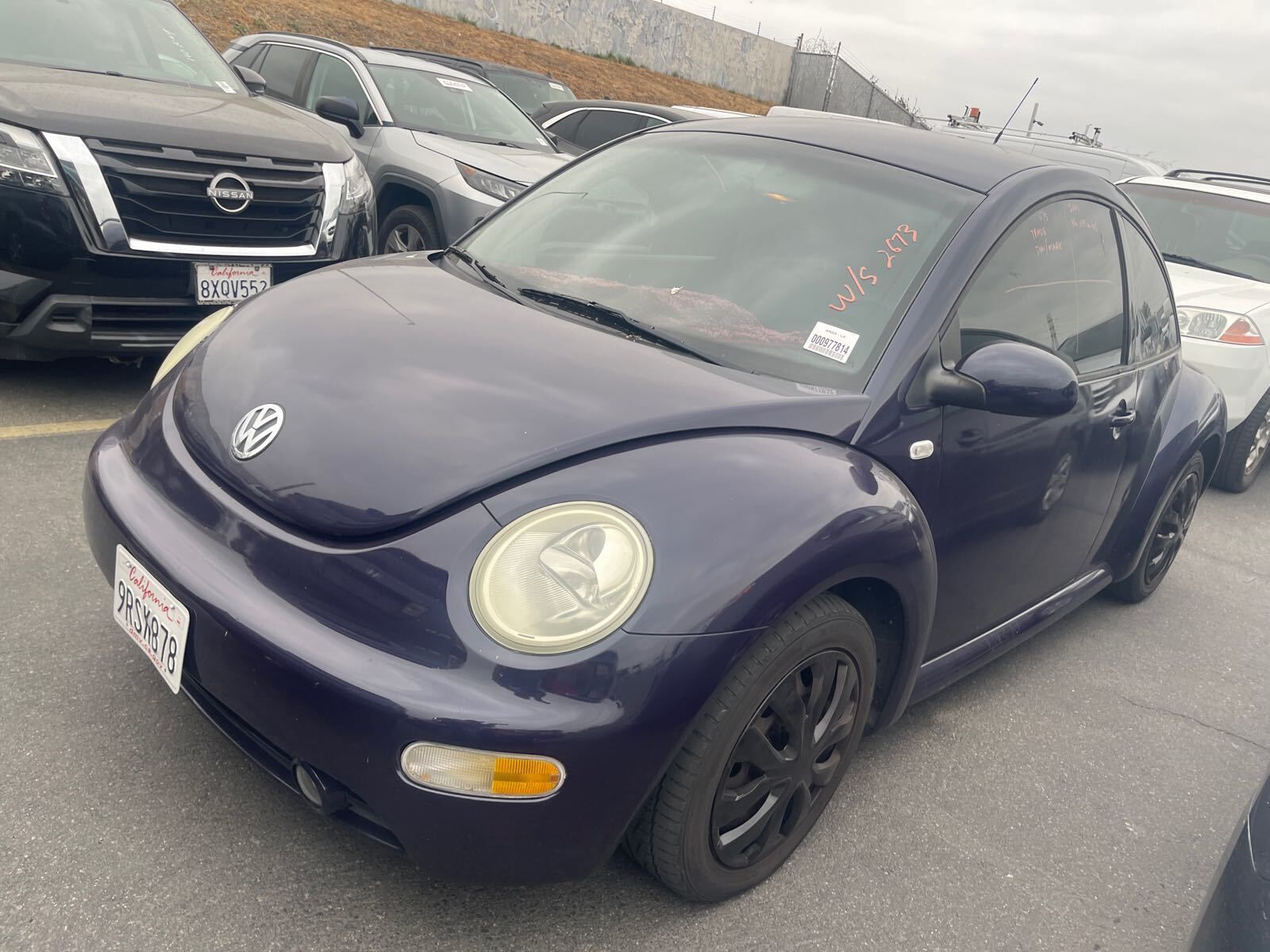 Volkswagen Beetle