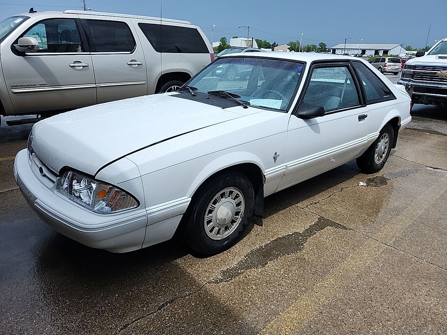 Ford Mustang