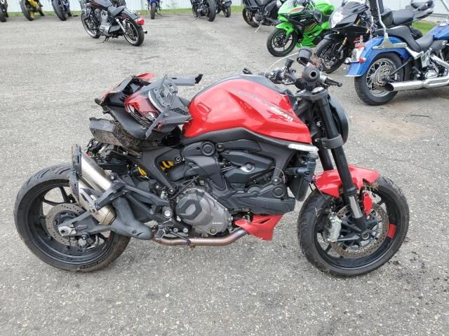 2024 DUCATI Monster