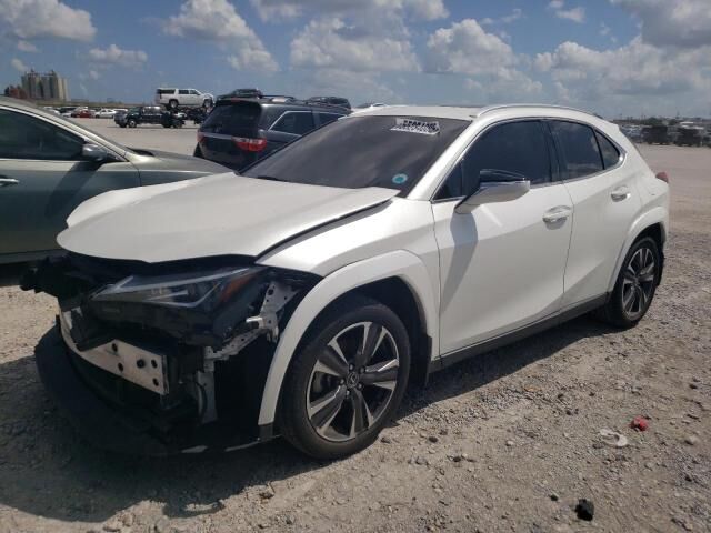 LEXUS