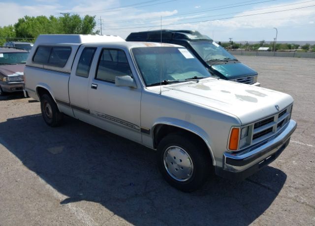 Dodge Dakota