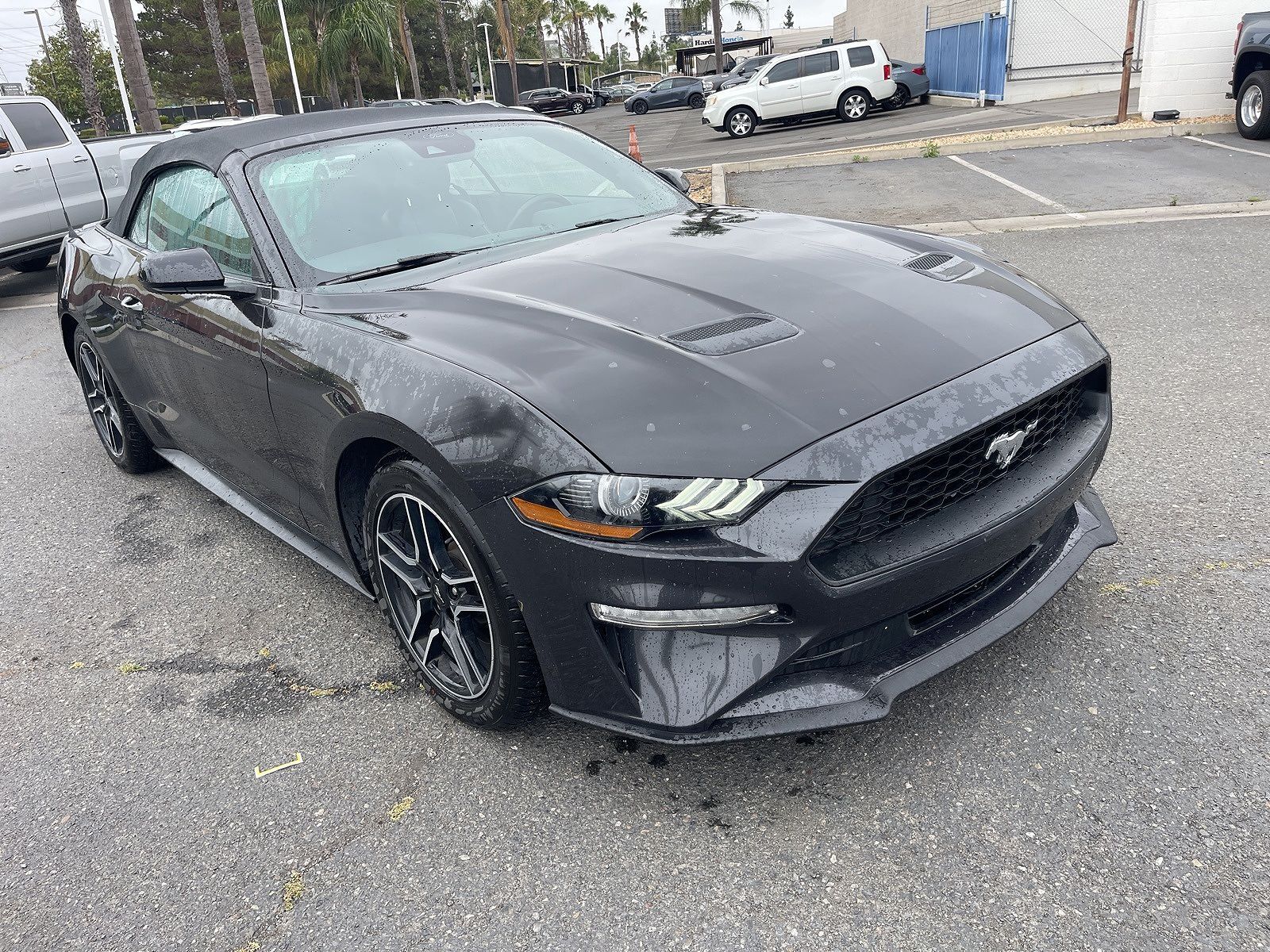 FORD
