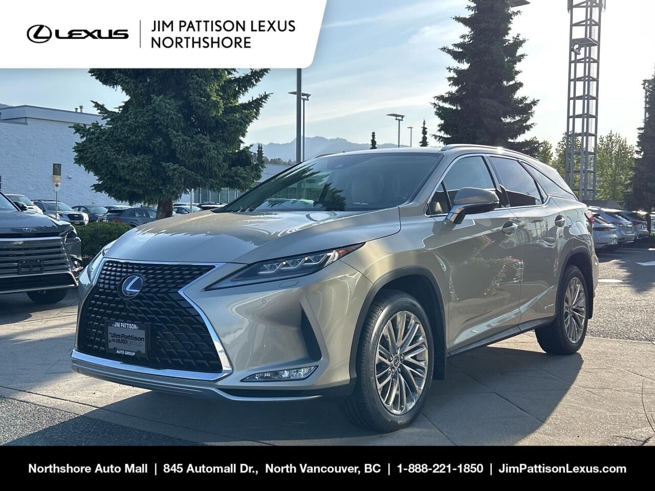 LEXUS