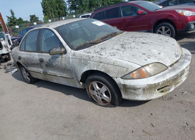 Chevrolet Cavalier