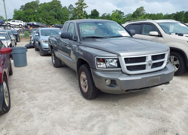 Dodge Dakota