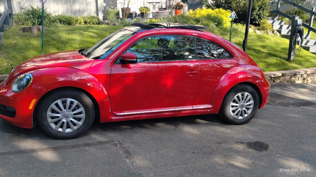 Volkswagen Beetle