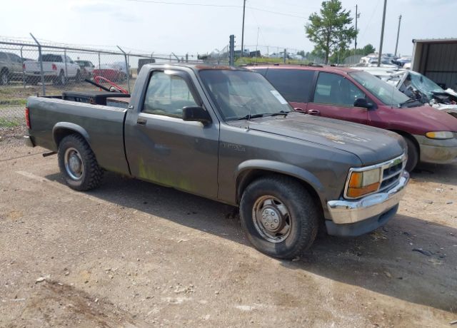 Dodge Dakota