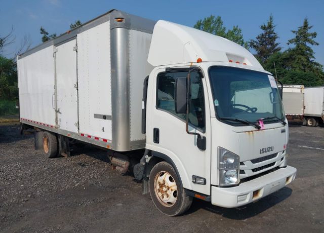 Isuzu NQR