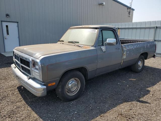 Dodge D-Series
