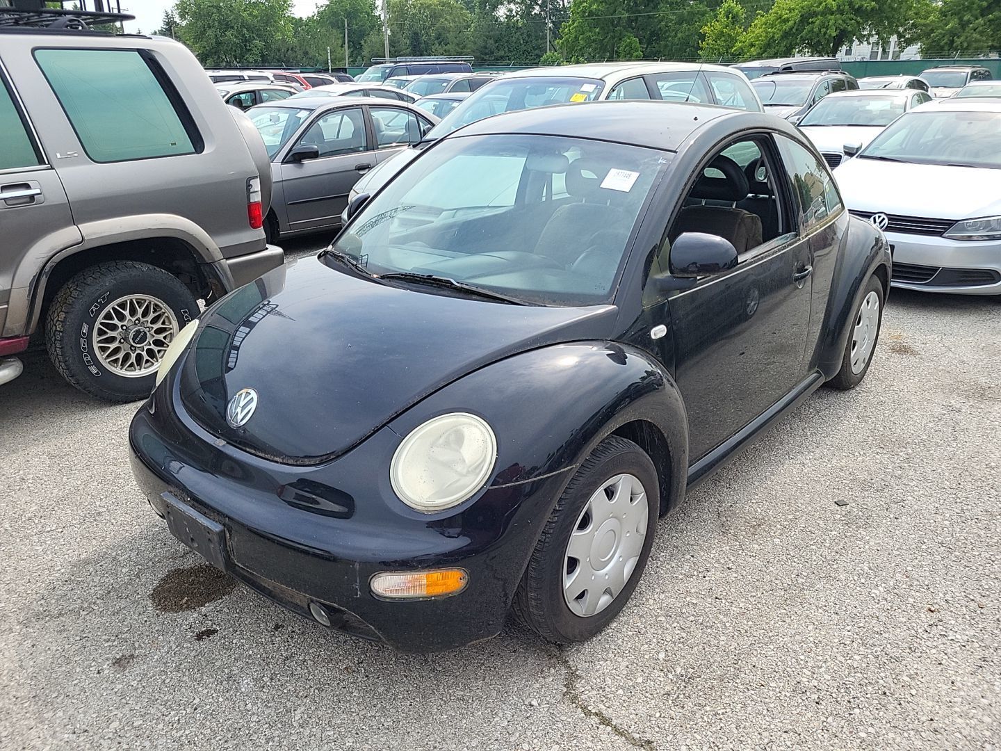 Volkswagen Beetle