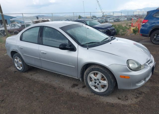 Dodge Neon