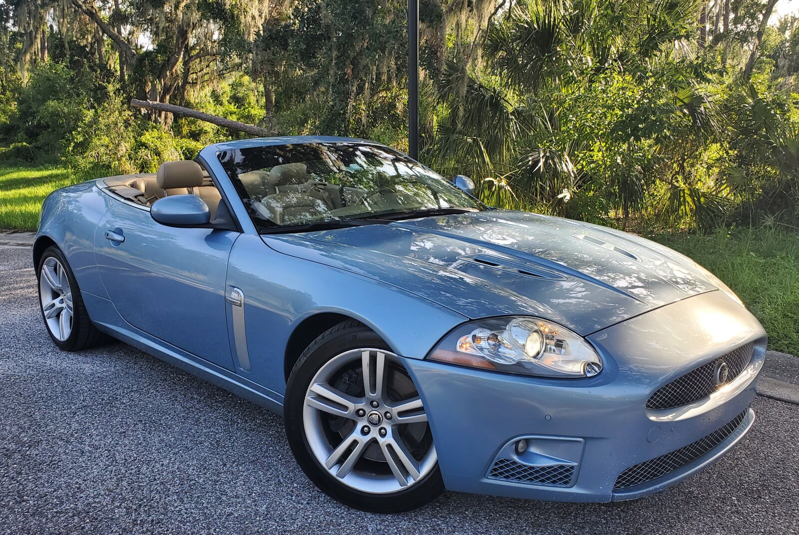 Jaguar XK