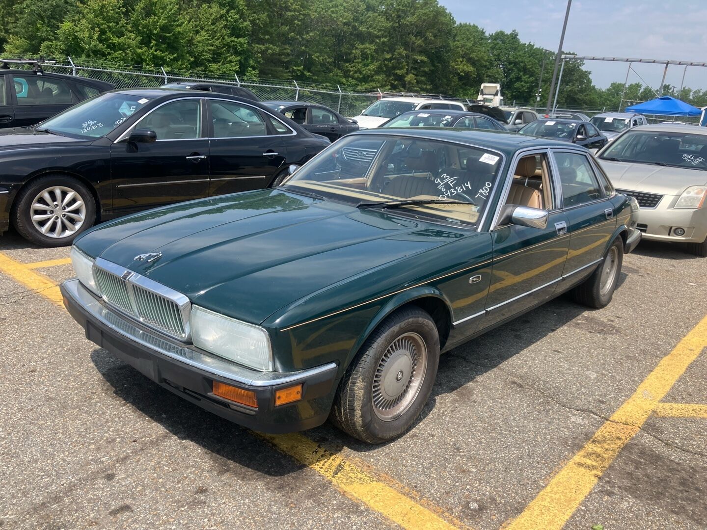 Jaguar XJ6
