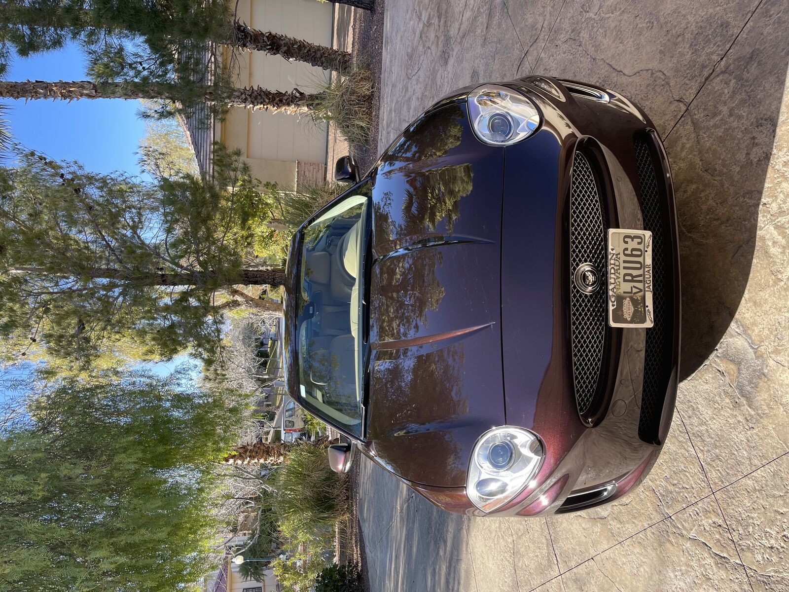 Jaguar XK