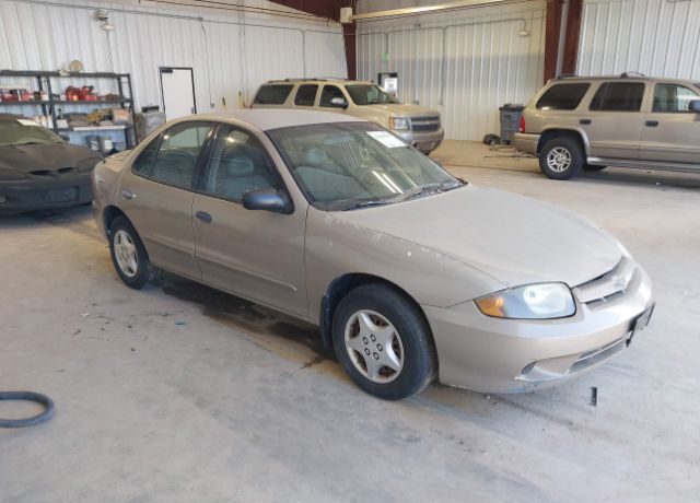 Chevrolet Cavalier