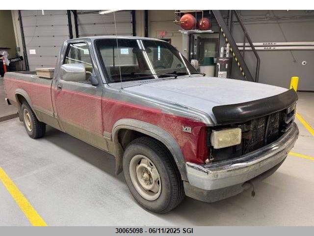 Dodge Dakota