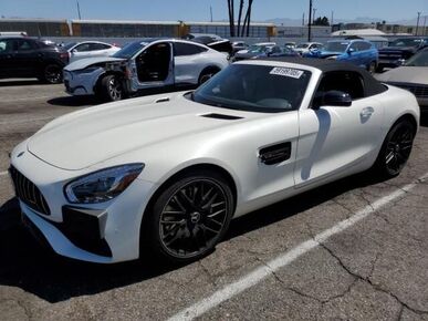 2018 MERCEDES-BENZ AMG GT - License Plate