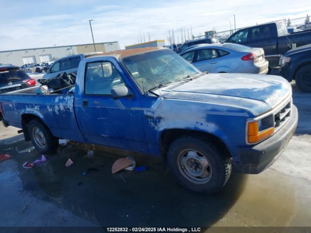 Dodge Dakota