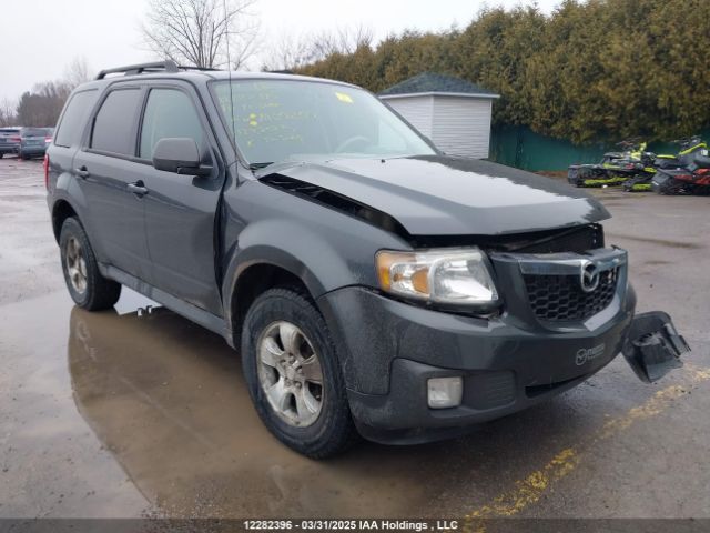 Mazda Tribute