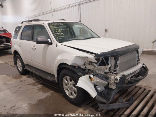 Mazda Tribute