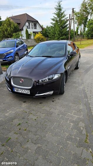 JAGUAR