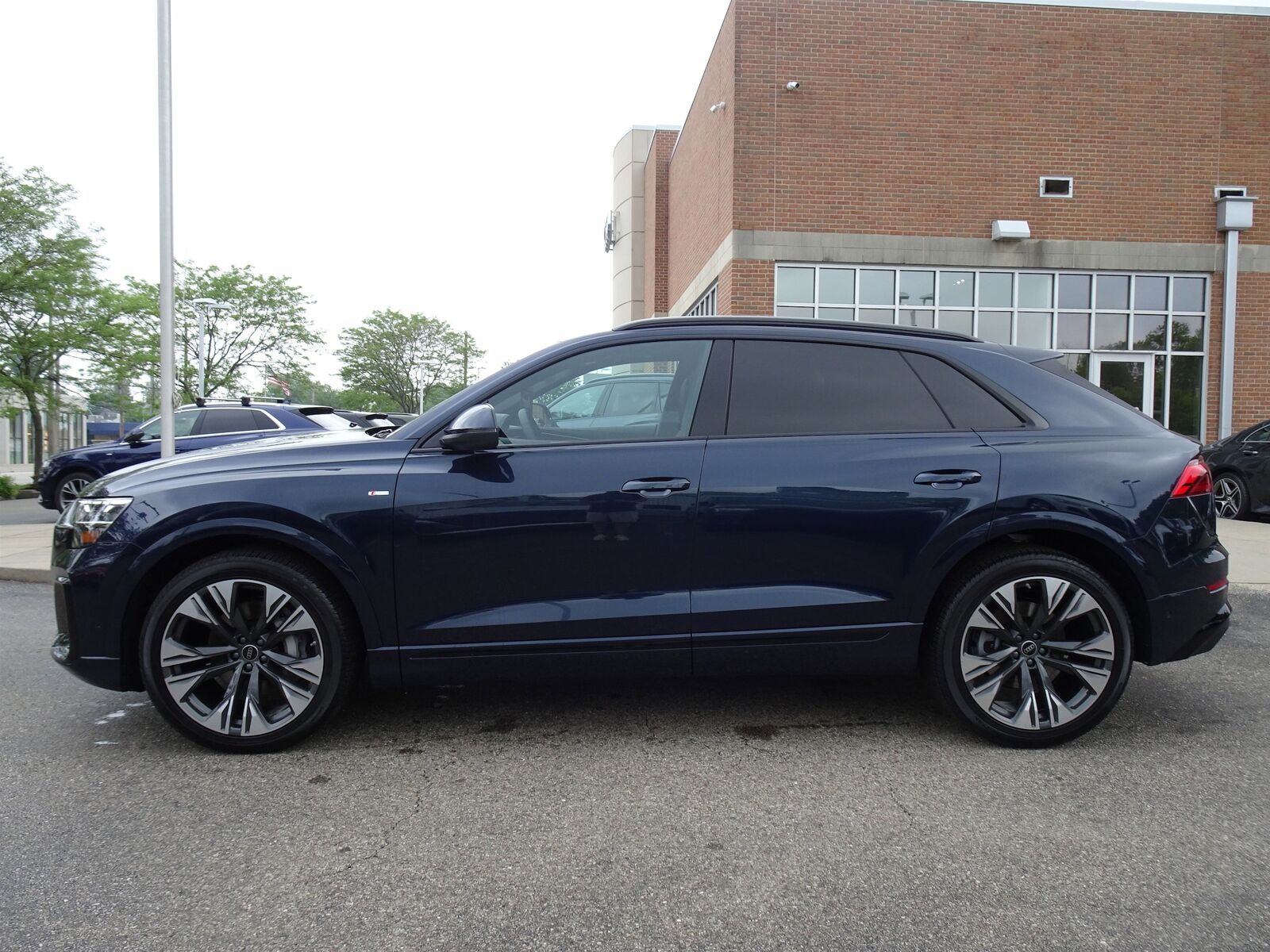 2025 Audi Q8