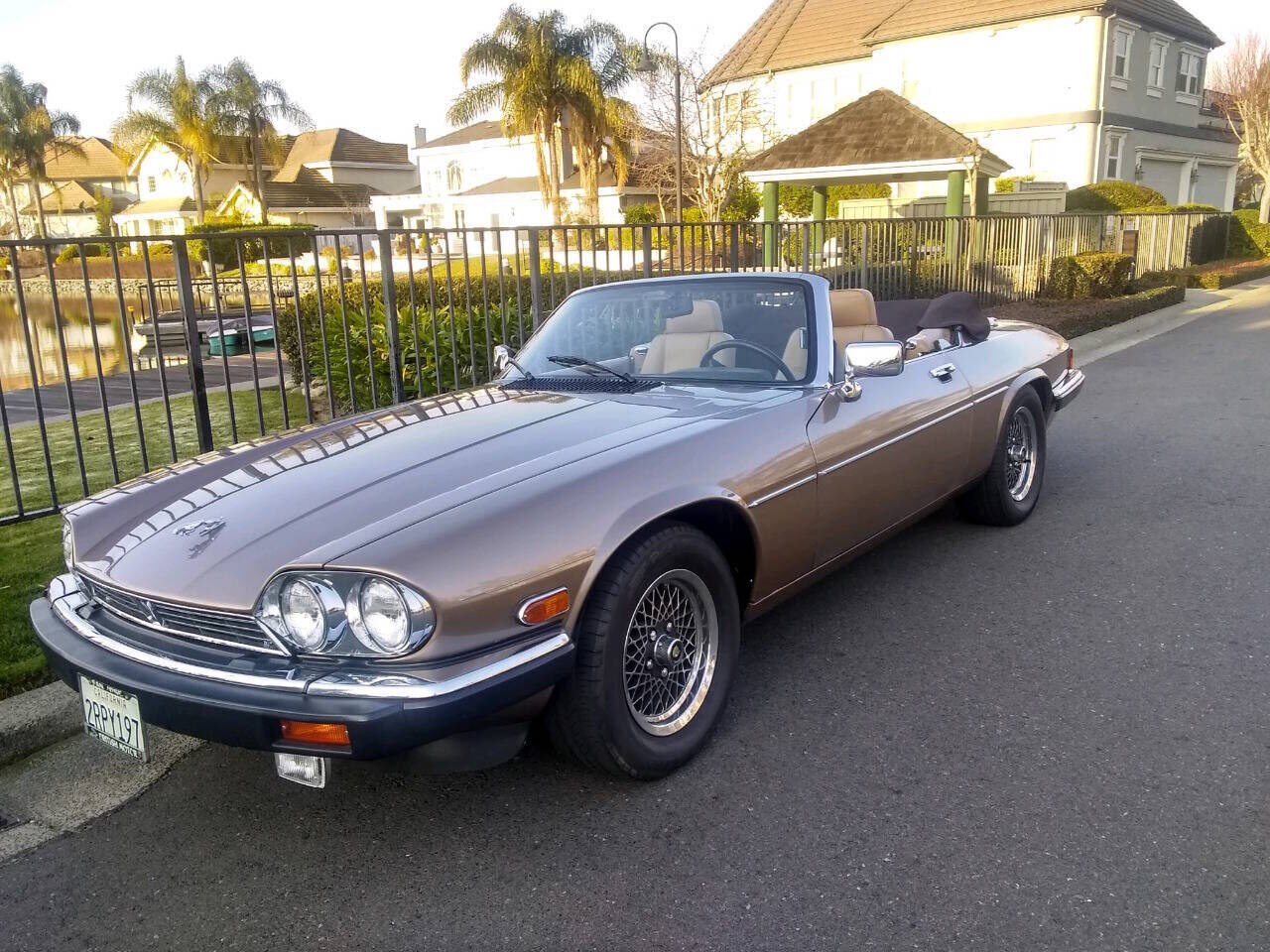 Jaguar XJS