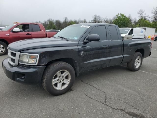 Dodge Dakota