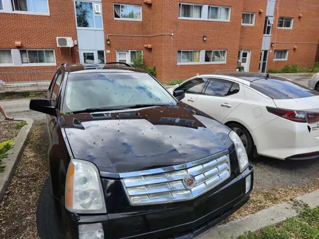 Cadillac SRX