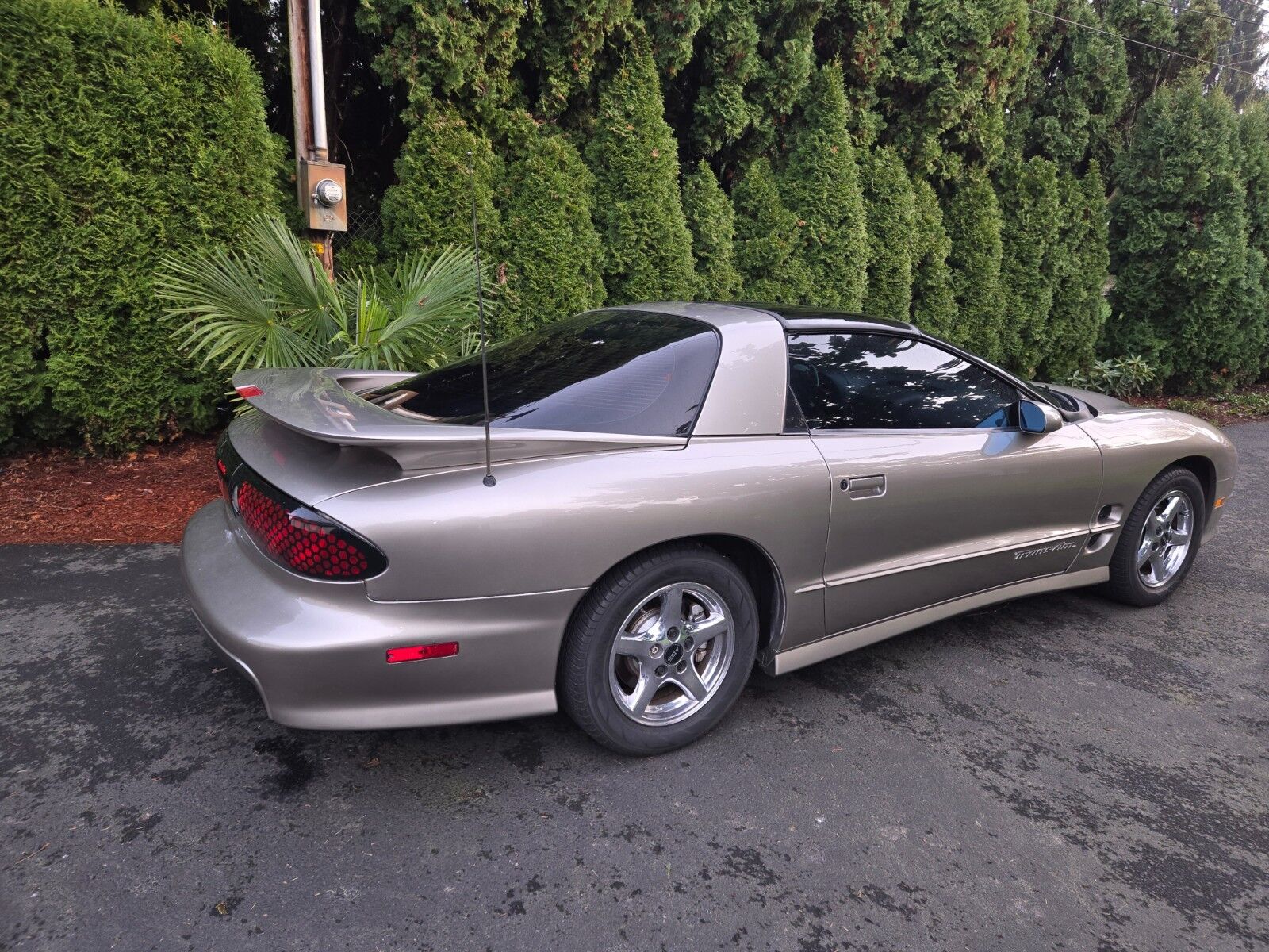 Pontiac Firebird