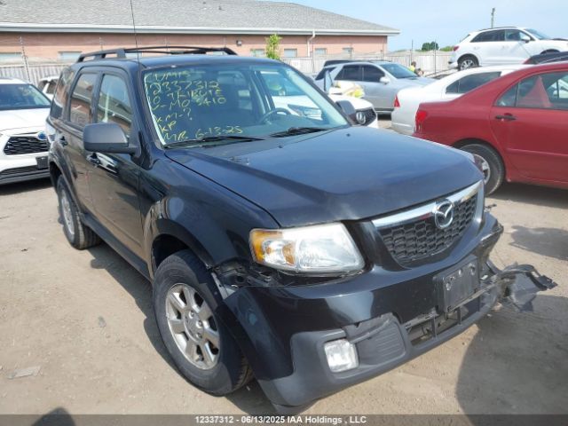 Mazda Tribute