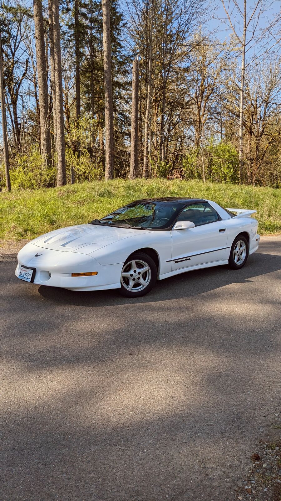 Pontiac Firebird
