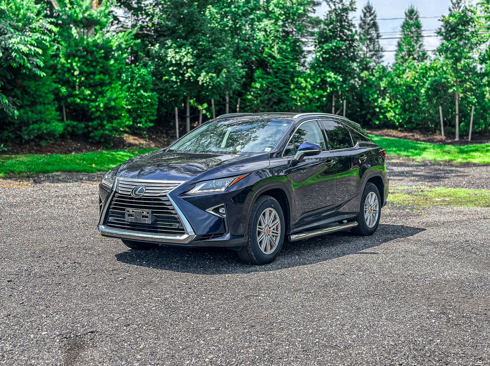 2019 LEXUS RX